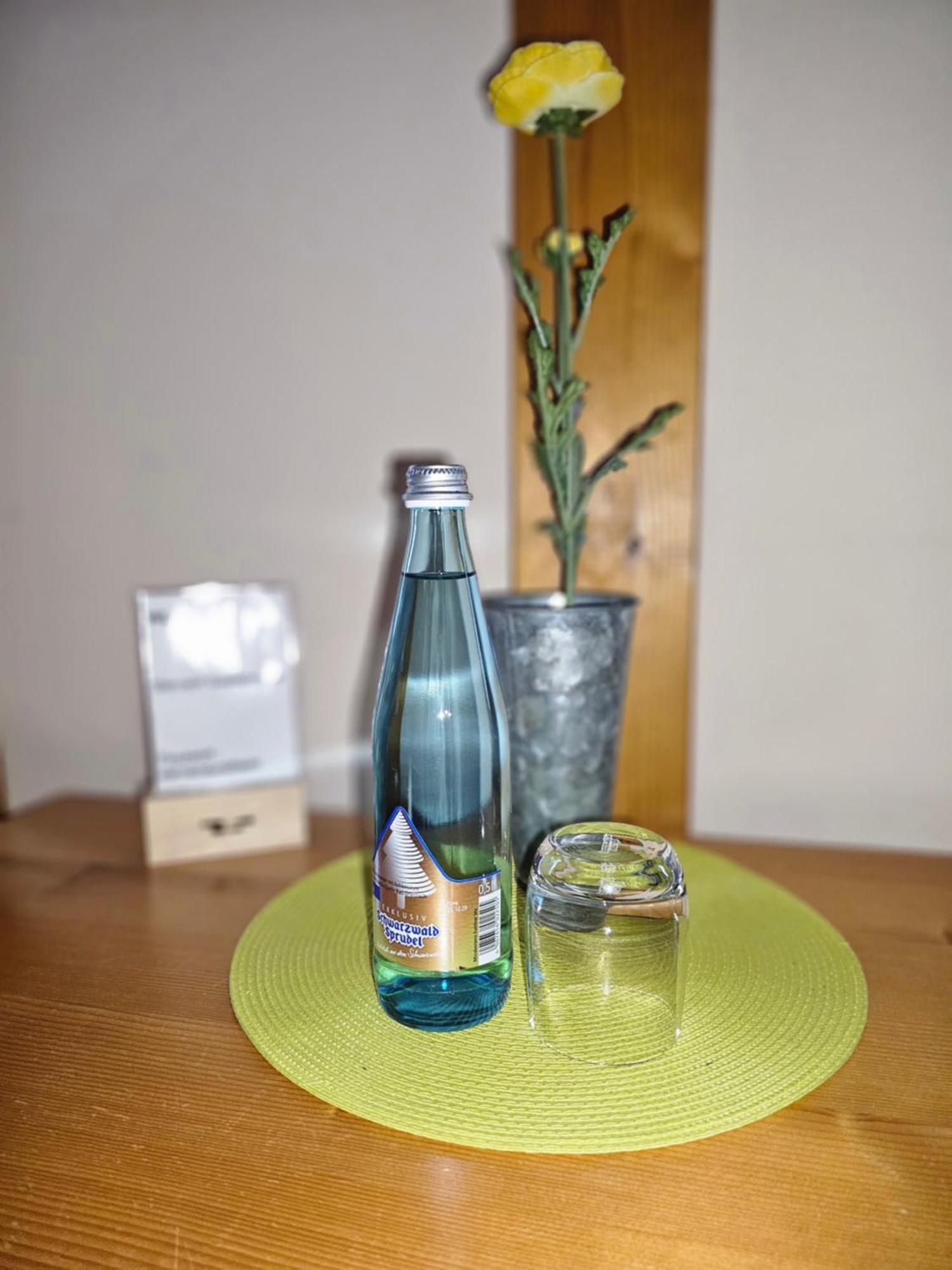 Landgasthaus Sternen Kehl Ngoại thất bức ảnh