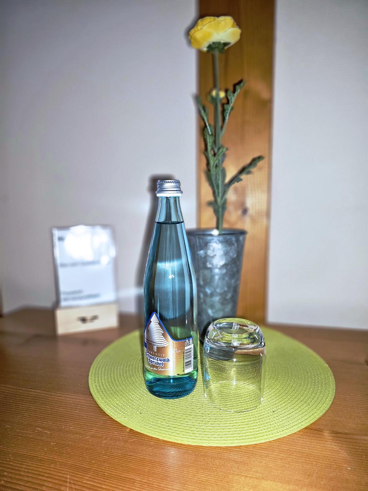 Landgasthaus Sternen Kehl Ngoại thất bức ảnh